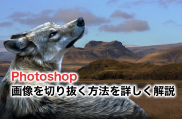 【2023】Photoshopで画像を切り抜く方法を詳しく解説