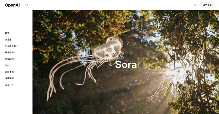 Sora
