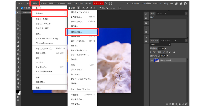 Photopeaの自動色調補正
