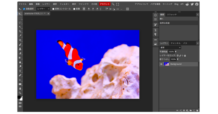 Photopeaの自動色調補正