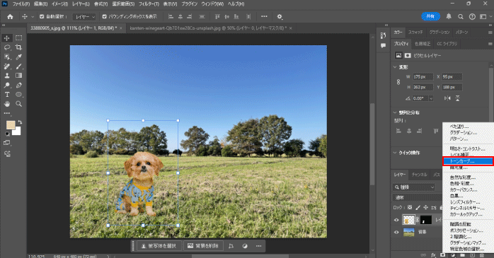 「トーンカーブ」を選択する