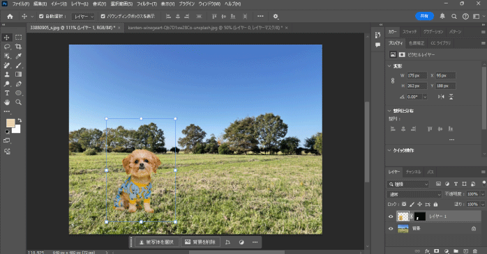 貼り付けた画像を調整する